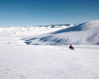  在马背上大雪天 